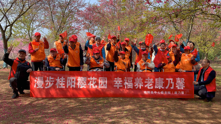 桂阳中心敬老院（康乃馨）组织老人游园赏樱