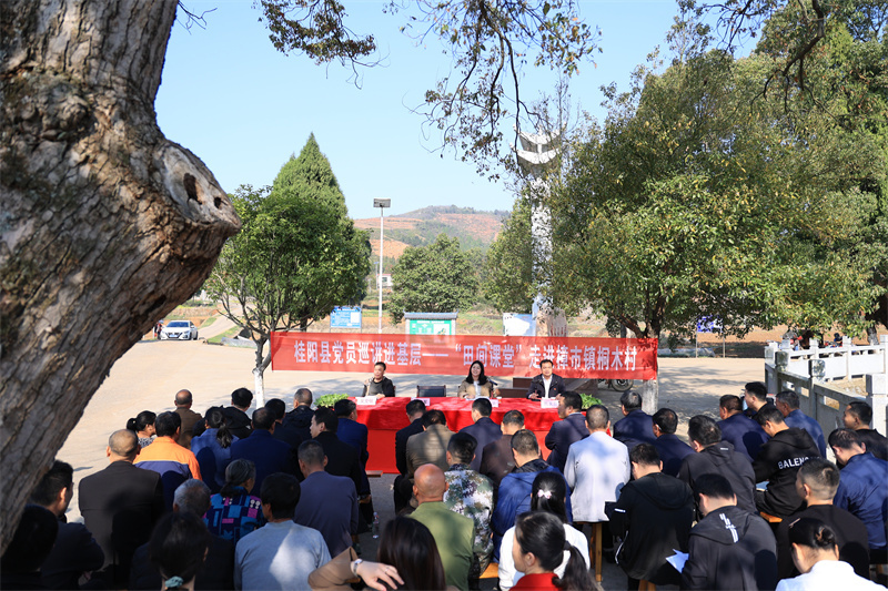 桂阳：课堂进一线，创新更走“心”