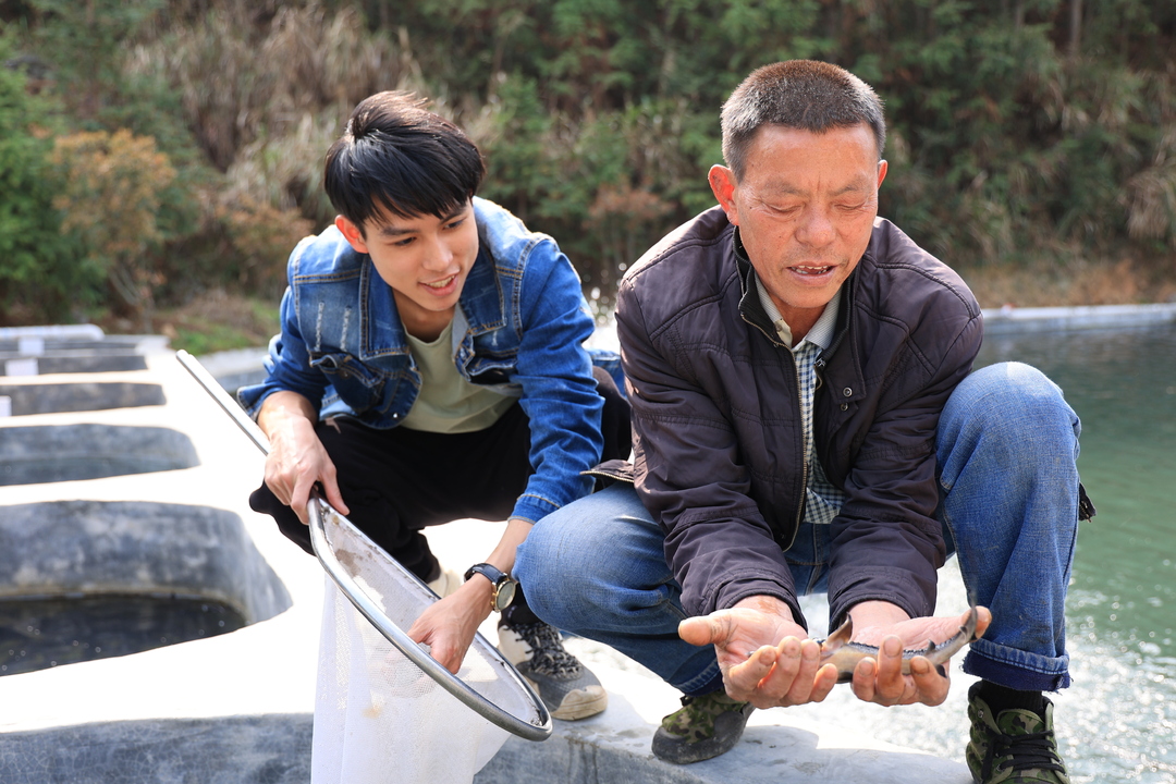 鲟鱼“游”出致富路