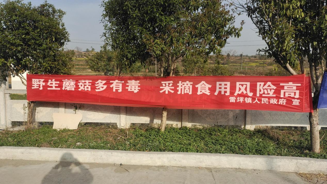 雷坪镇：杜绝毒蘑菇，守护万家宁