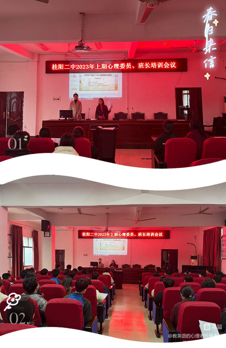 桂阳二中开展“朋辈互助 用心护航”心理健康委员培训