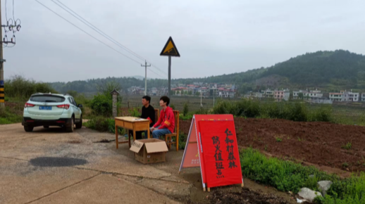 洋市镇：党员防火当先锋护林一线党旗飘