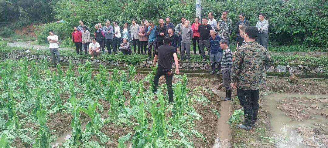四里镇芹溪村：党群连心 携手开展灾后自救
