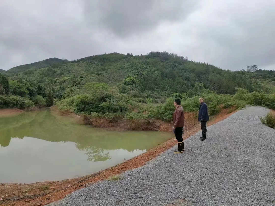 雷坪镇:防汛保平安 代表齐助力
