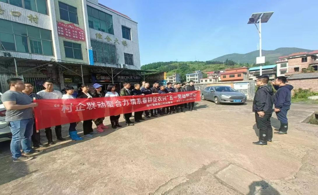 荷叶镇：“五一”期间“村企联动聚合力 情系春耕促农兴”