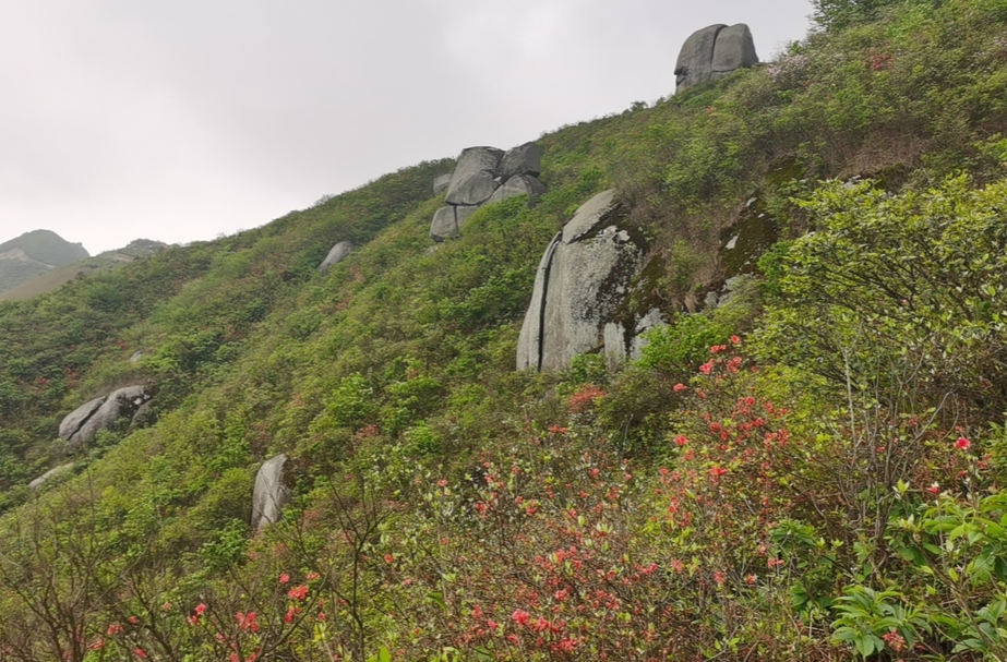 女娲伏羲民间祭祀活动在扶苍山举行