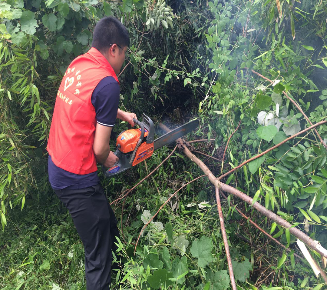 桂阳县樟市镇：清理公路沿线杂草 美化环境 消除安全隐患
