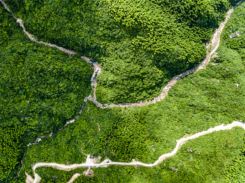 以“林长制”促“林长治” 描绘美丽桂阳生态新底色