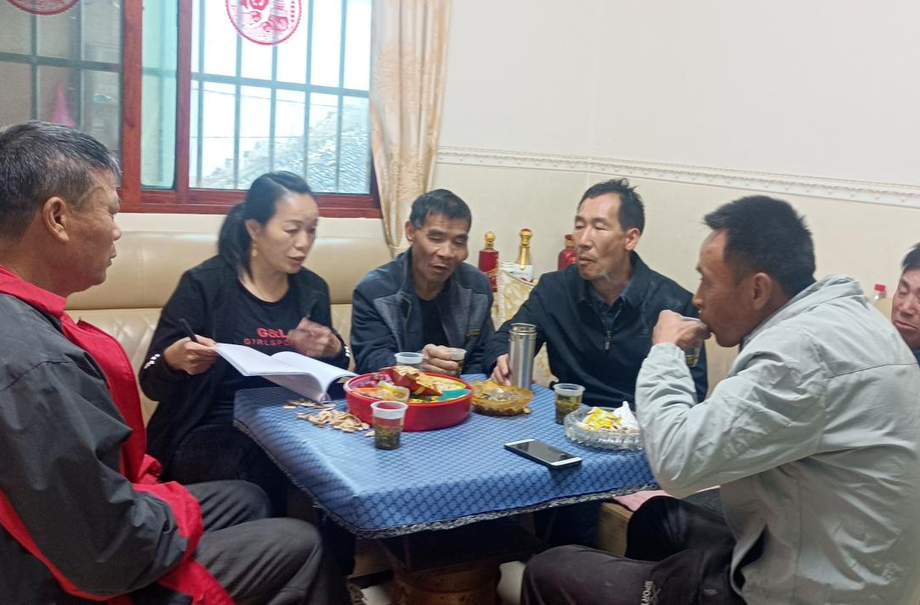 和平镇：人大代表强履职，“三资”管理高保障