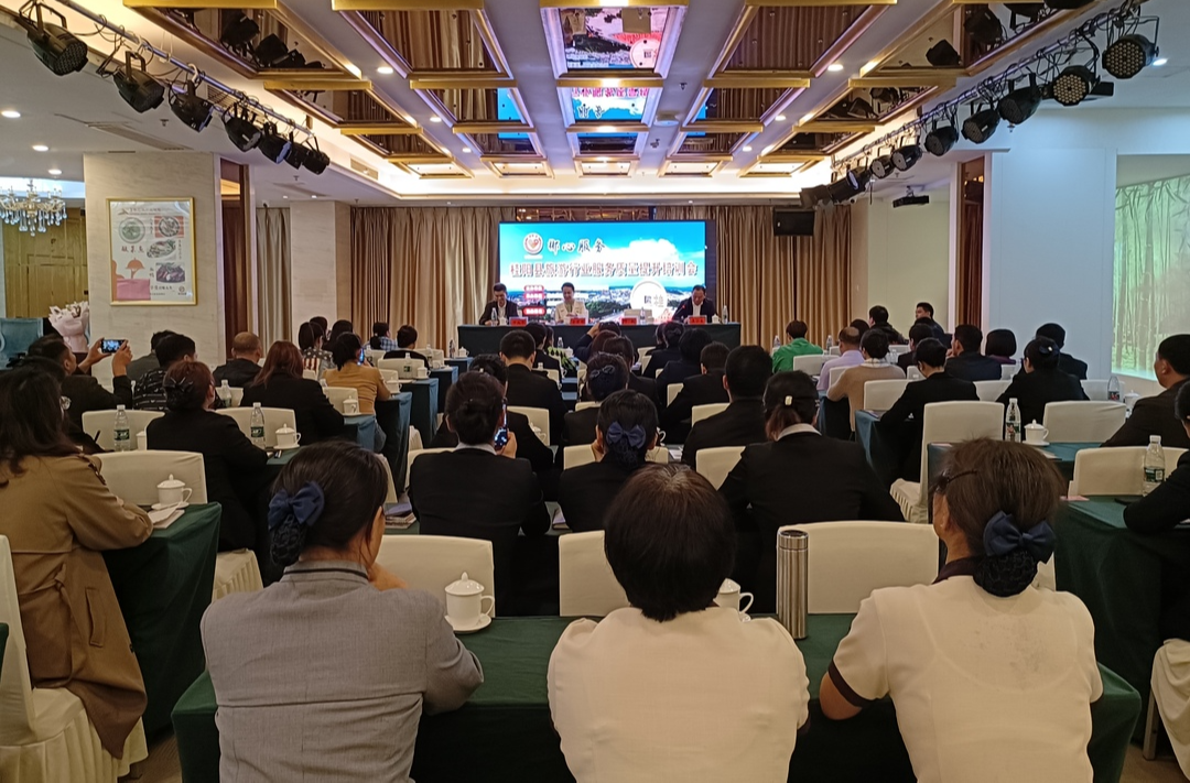 举全县之力 办好旅发会 | 我县开展“郴心服务”旅游行业服务质量提升培训