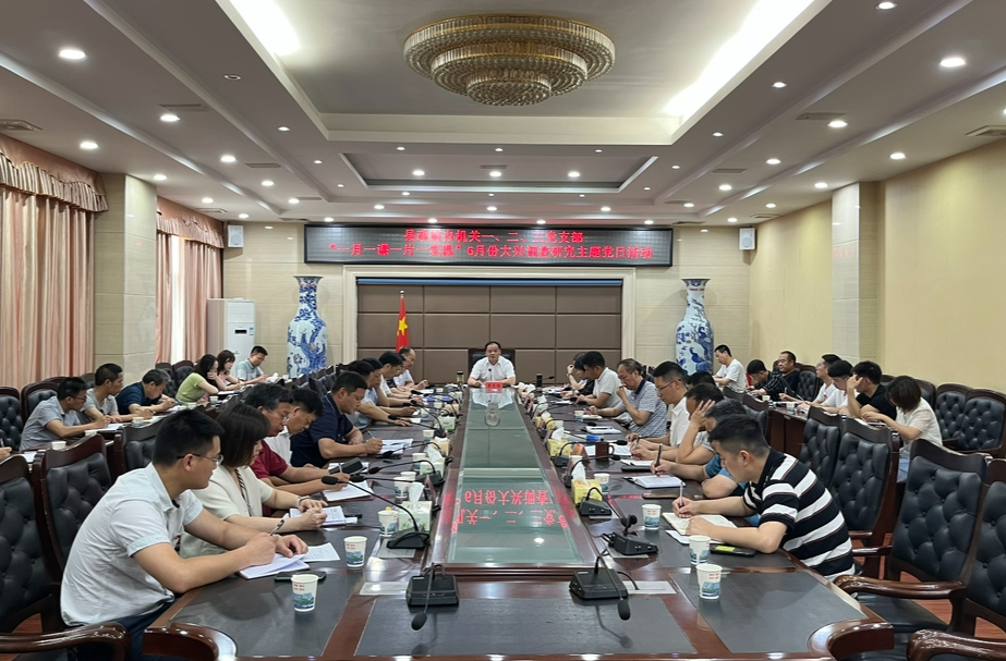 县政府办机关一、二、三党支部开展“一课一片一实践”暨6月份主题党日活动