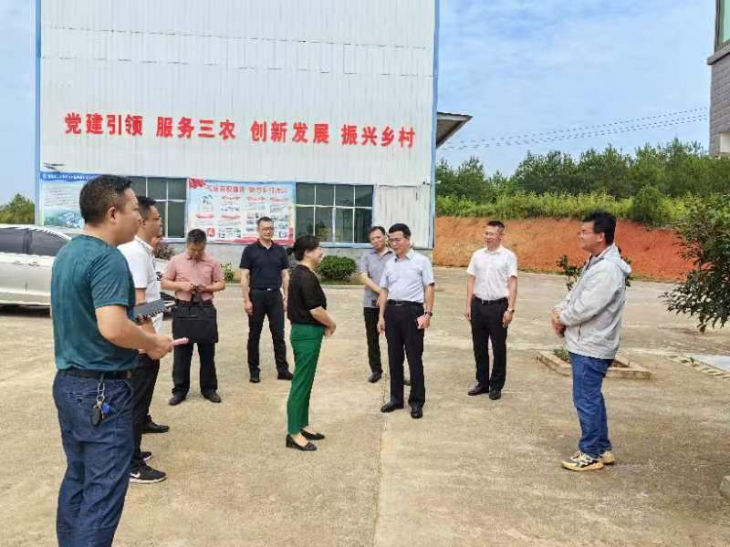 省粮食和物资储备局来桂阳调研粮食监管信息化督导检查暨耕地保护和落实粮食安全责任制考核工作