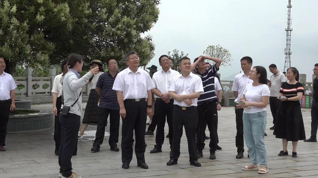 民建中央副主席孙东生一行来桂调研