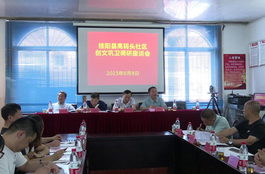 龙潭街道高码头社区创文巩卫调研座谈会召开