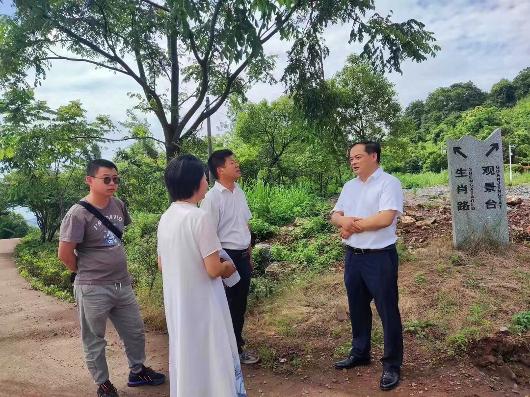 举全县之力  办好旅发会丨 李志强督导检查宝山工矿旅游提质项目建设工作