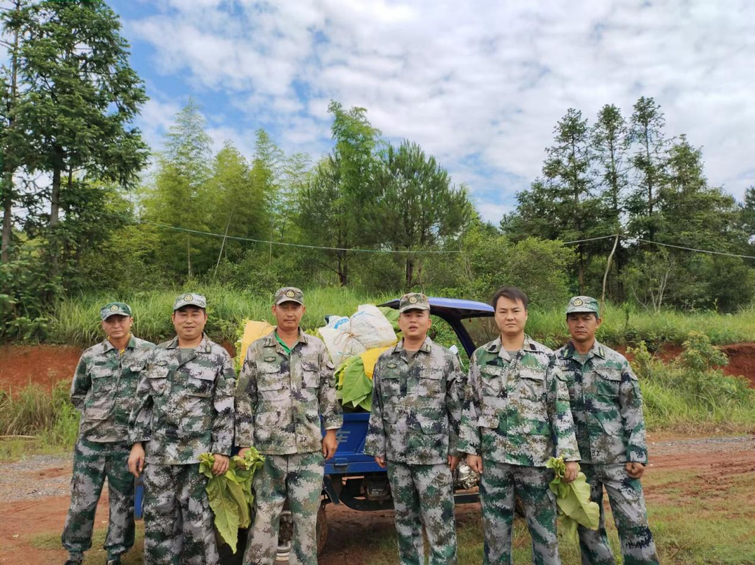 洋市镇：民兵在行动  助农解烦忧