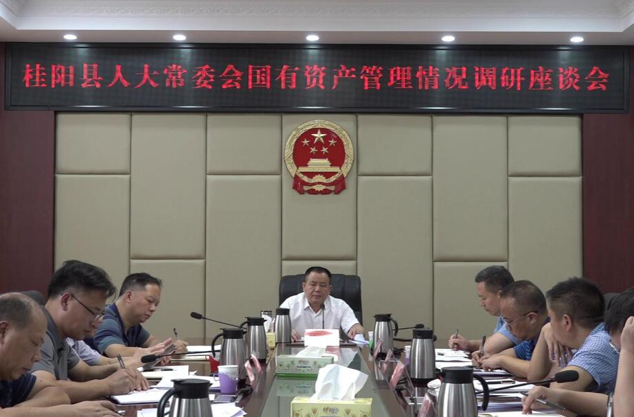 大兴调查研究 | 县人大常委会开展国有资产管理情况调研