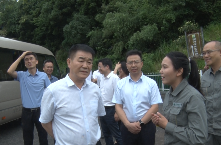 湖南能源监管办来我县调研电力供应情况