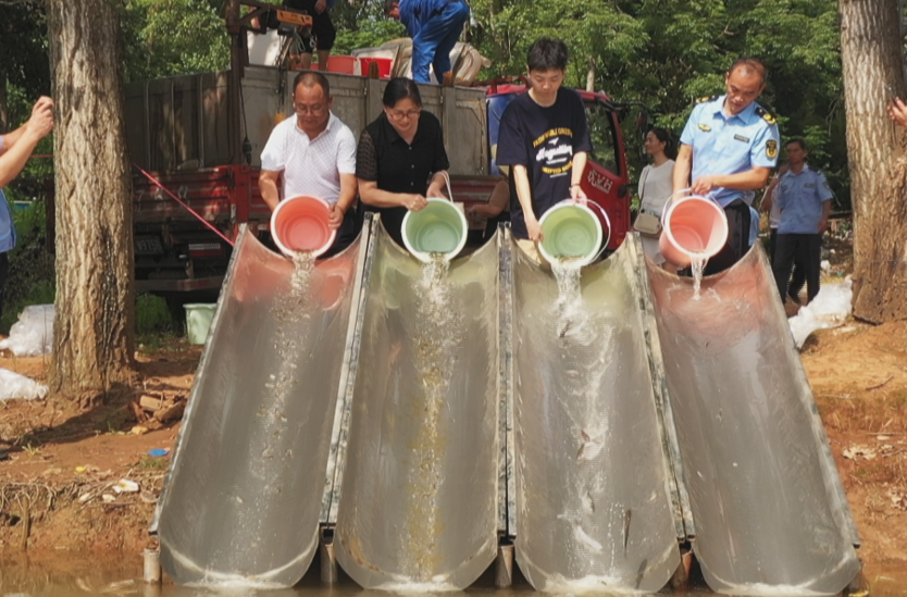 我县开展 2023年舂陵江鱼类增殖放流活动  投放鱼苗鱼种300万尾