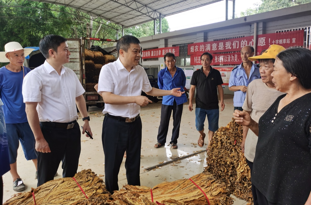 大兴调查研究 | 巫初华督导检查耕地恢复和烟叶收购工作
