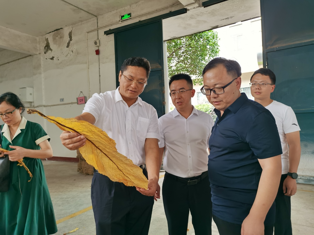 大兴调查研究 | 杨君毅调研烟叶收购、防溺水、湿地保护工作并开展巡河