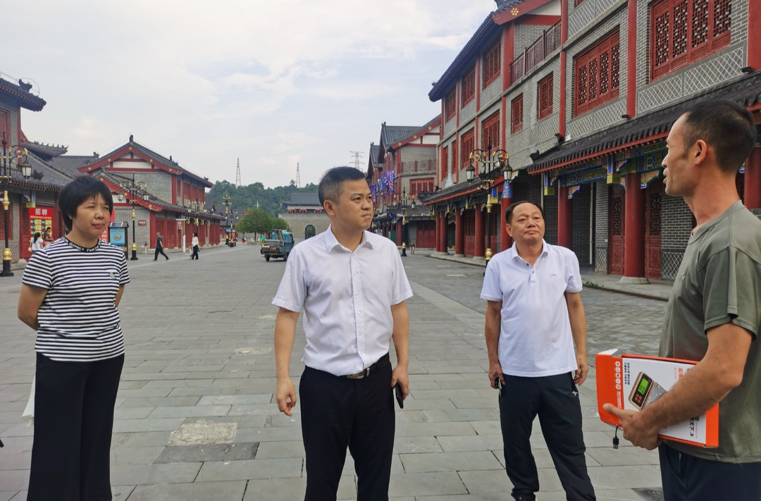 大兴调查研究 | 巫初华调研桂阳文化园（古城）提质运营项目  加快推进项目建设 丰富发展文旅业态