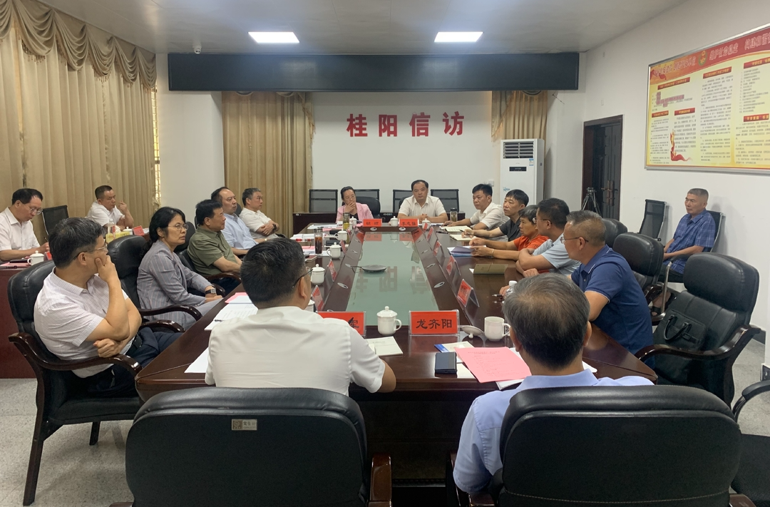 省人大常委会党组成员、副主任陈飞来桂阳下沉接访
