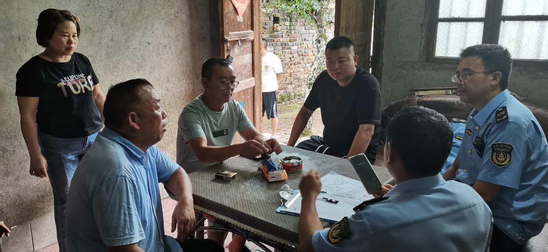 护路林木遭砍伐，罚！