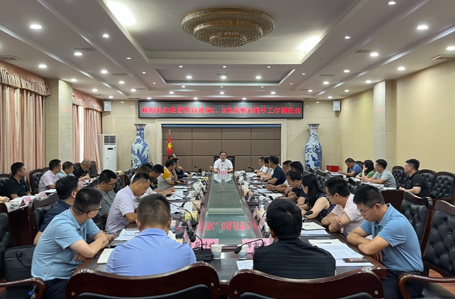 我县召开非经营性自建房C、D危房整治销号工作调度会 | 落实“三个强化” 扎实推进整治工作