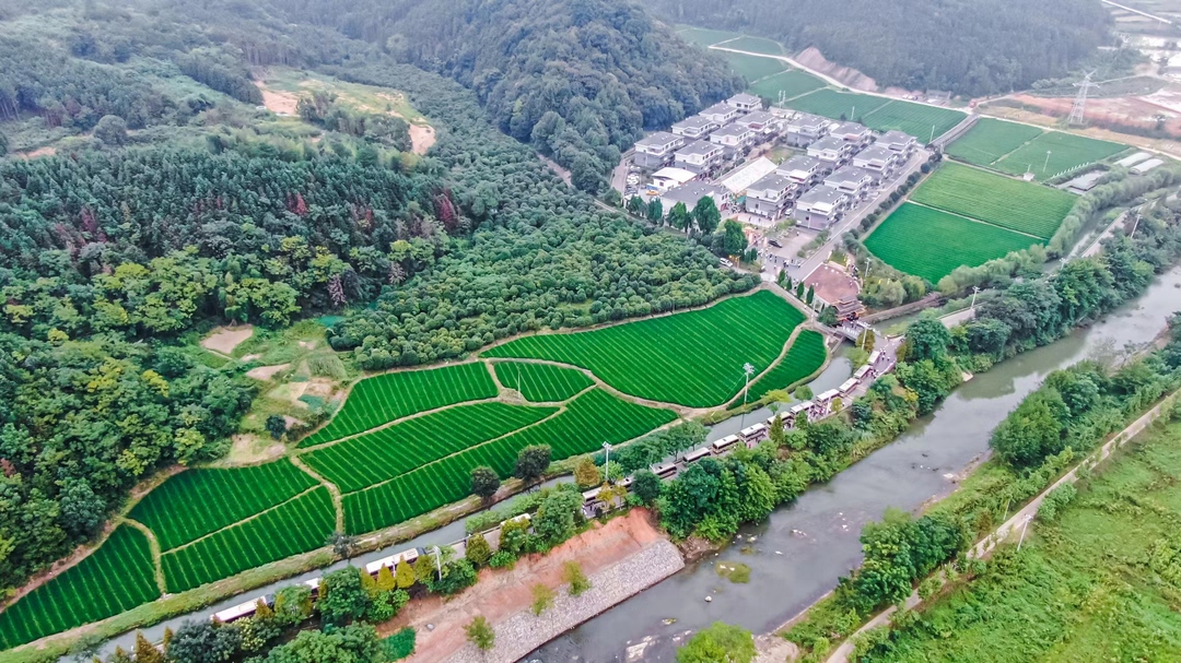 庆丰收 促和美丨2023中国农民丰收节湖南主会场（桂阳）农旅观摩巡游举行