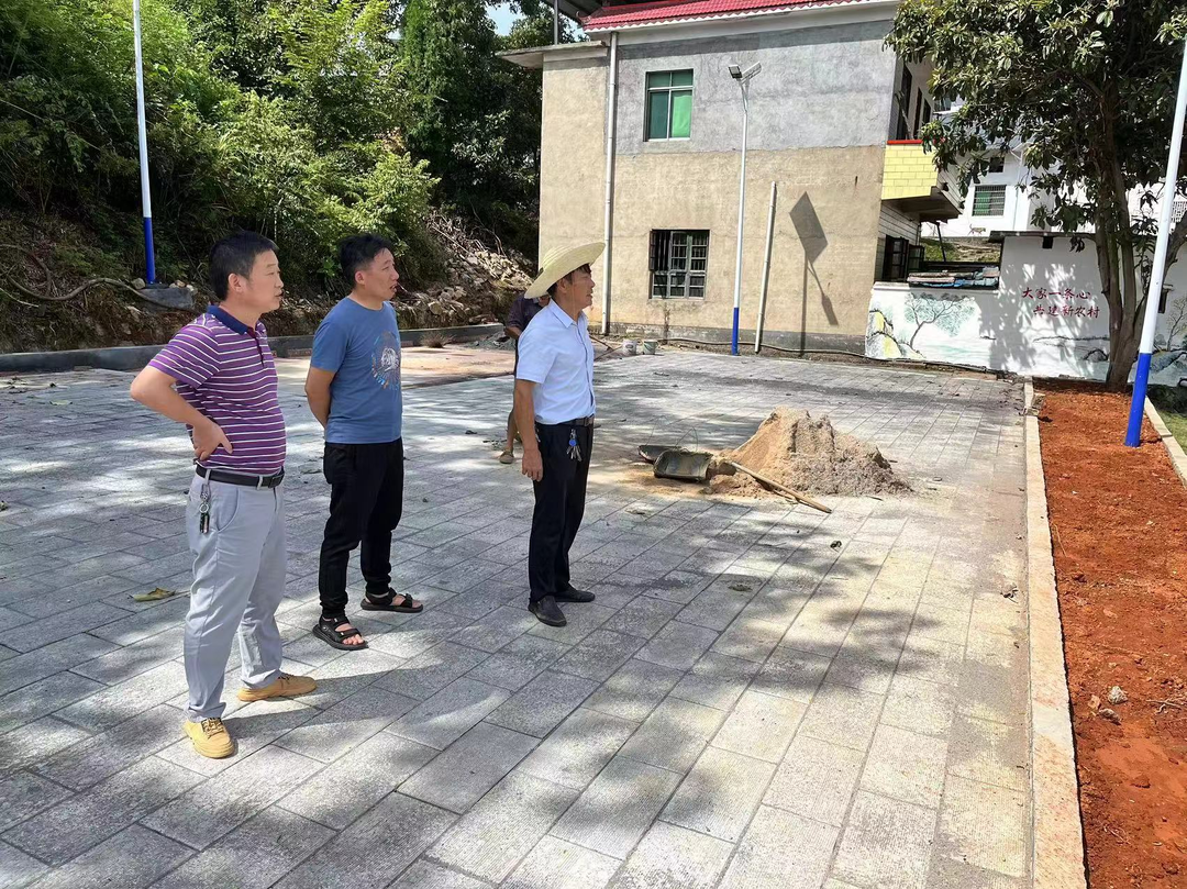 党建引领：凝聚振兴合力，共建美丽花麦村
