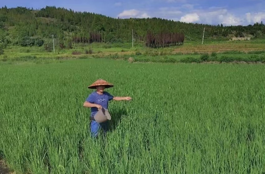 拳拳赤子心   浓浓乡土情  ——访扎根家乡、建设家乡的“最美乡贤”李光生