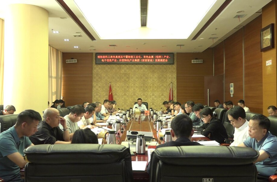 我县召开科工商务真抓实干暨新型工业化、有色金属(铅锌)产业等产业发展调度会