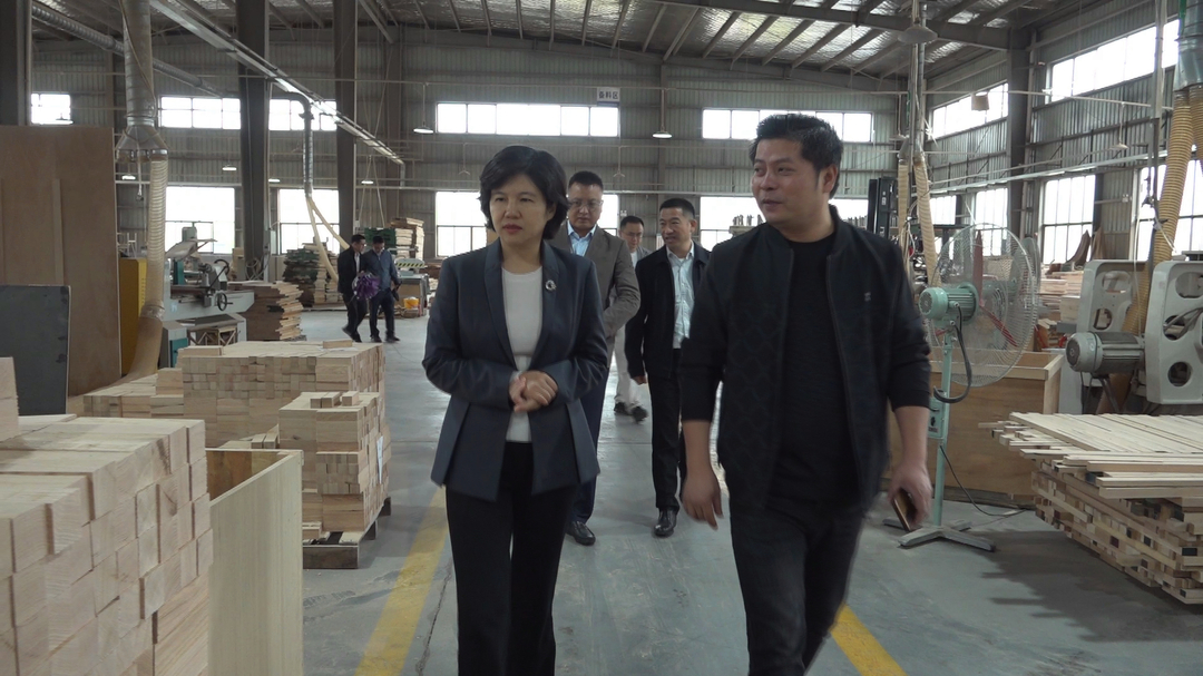 市领导来我县调研优化营商环境工作