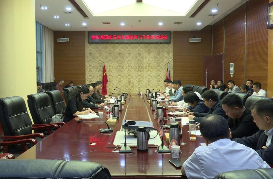 桂阳巩卫在行动|我县召开国家卫生县城复审工作指导培训会