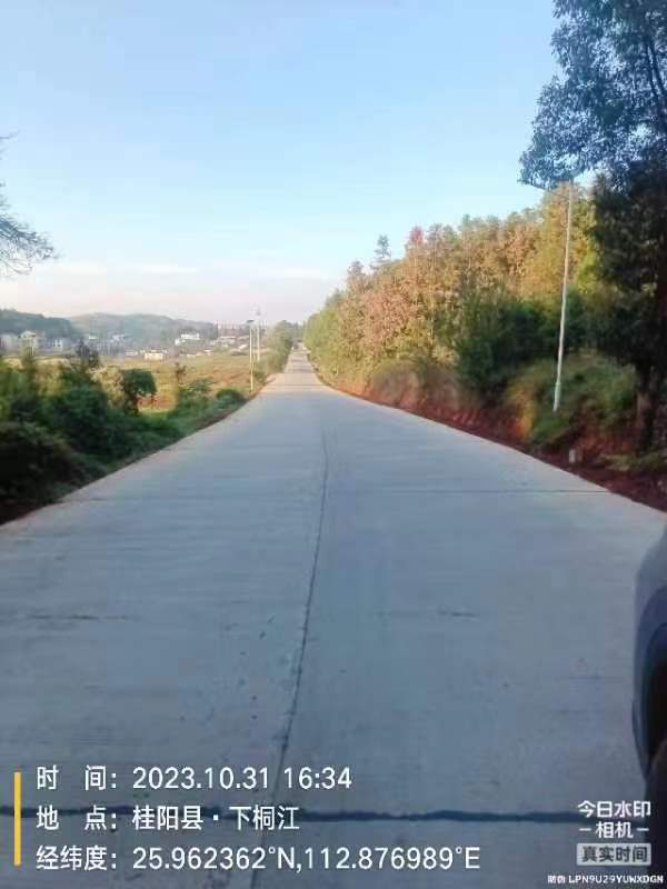 洋市镇：新修公路激发乡村振兴新活力