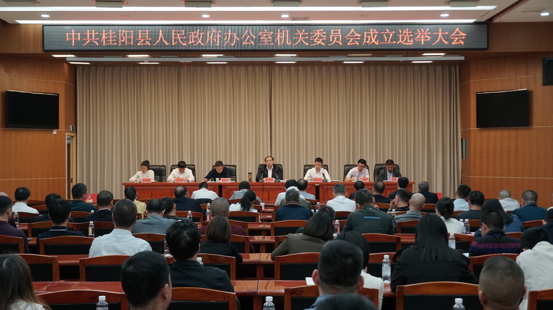 中共桂阳县人民政府办公室机关委员会成立选举大会召开