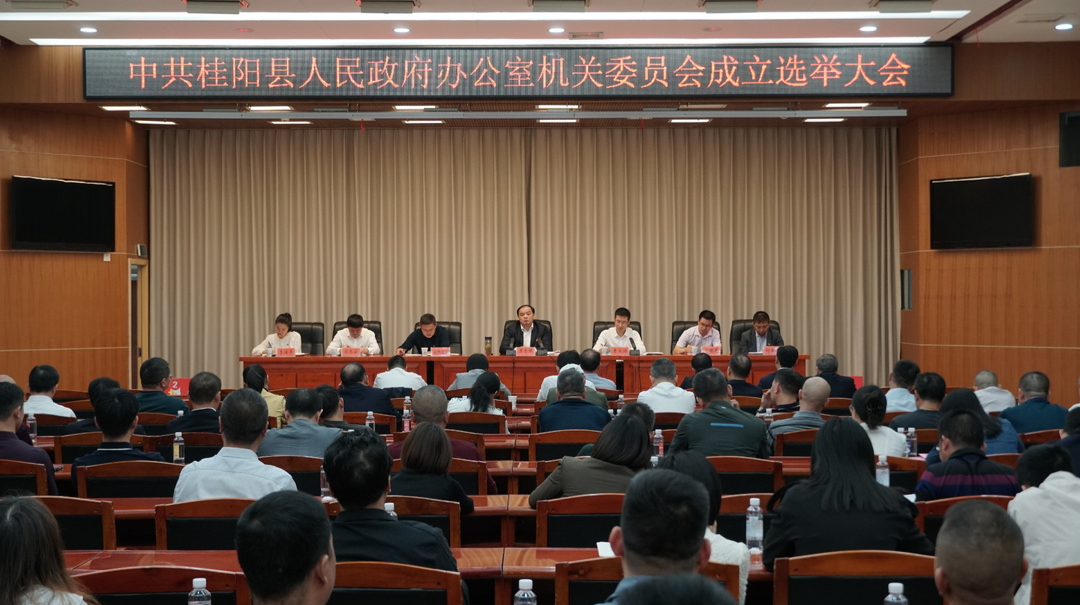 中共桂阳县人民政府办公室机关委员会成立选举大会召开