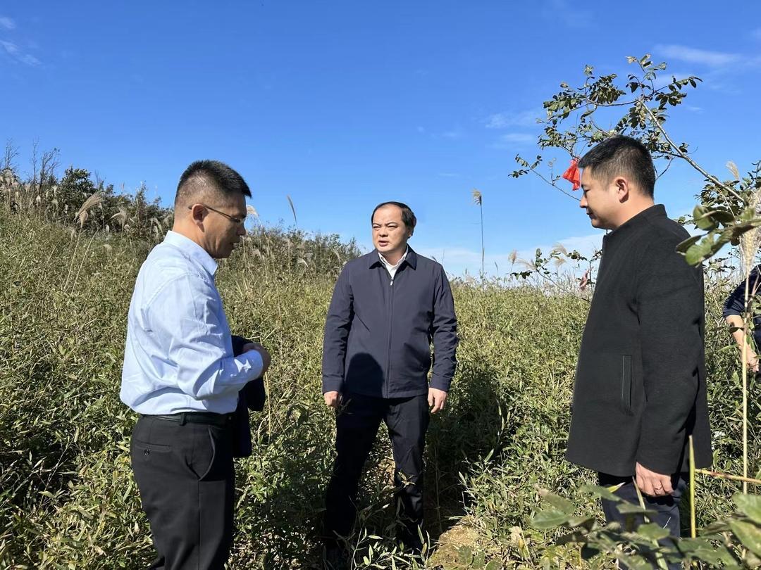 走基层 找问题 想办法 促发展丨李志强调研重点项目建设、医保社保征缴、消防安全入户宣传等工作