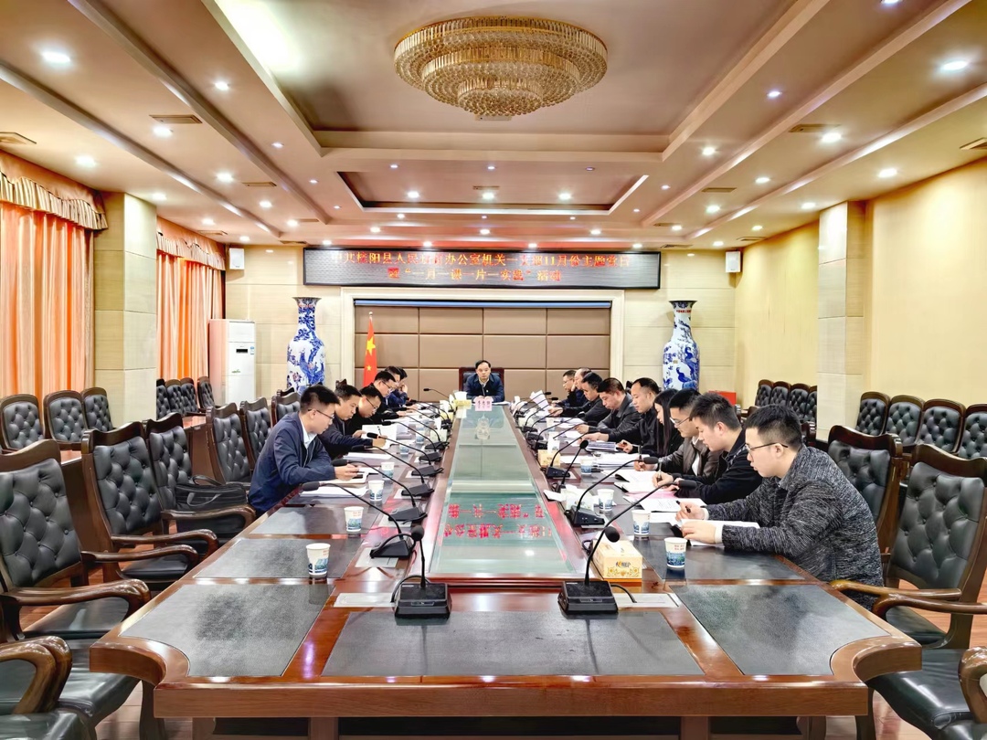 县政府办机关一支部开展11月份主题党日暨“一月一课一片一实践”活动