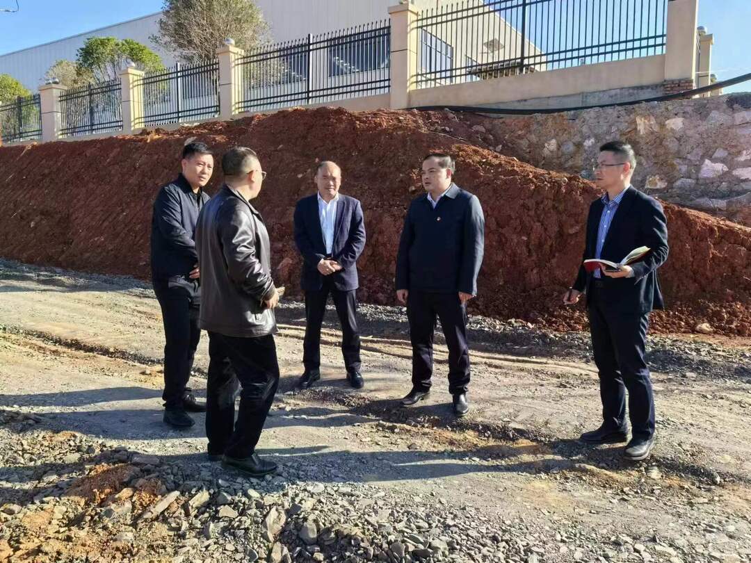 走基层 找问题 想办法 促发展丨 李志强到有色产业园开展“四下基层”暨“走找想促”活动