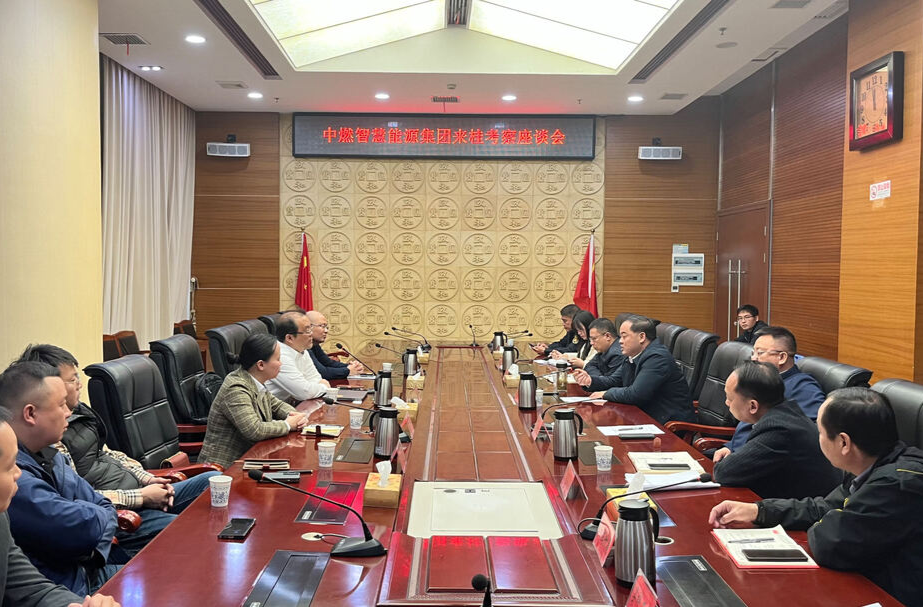 打好“发展六仗” | 中燃智慧能源集团来桂考察
