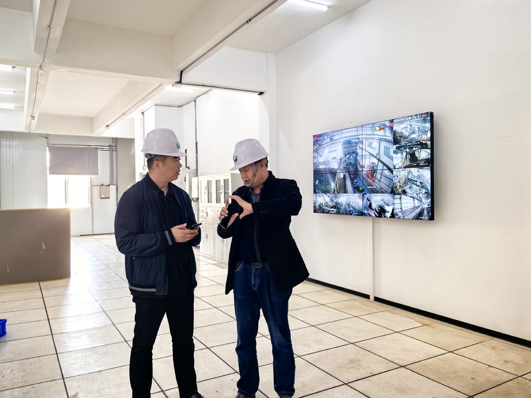 桂阳：强链集群  让“有色”有“绿色”更“出色”