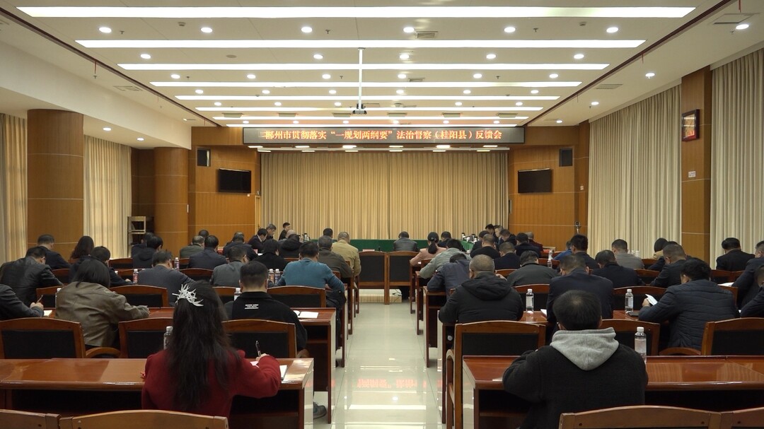 郴州市贯彻落实“一规划两纲要”法治督察（桂阳县）反馈会召开