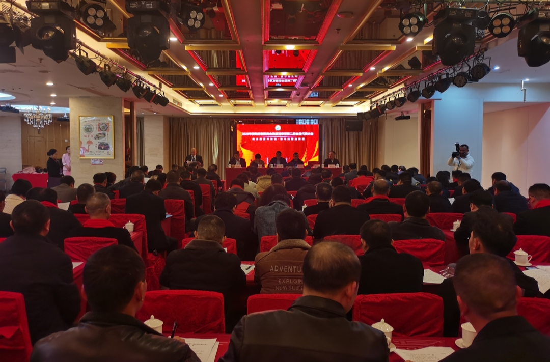 2023年桂阳县衡阳商会换届选举暨第二届会员代表大会召开