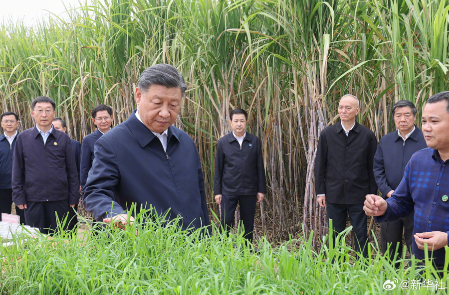 习近平在广西来宾市考察调研