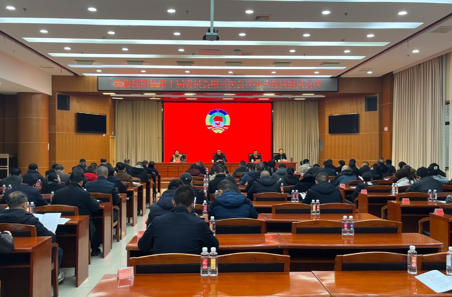 聚焦两会 | 政协桂阳县第十届委员会第三次会议中共党员委员会议召开