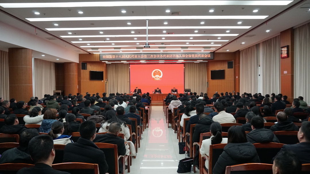 聚焦两会 | 县十八届人大三次会议各代表团召集人和全体党员代表会议召开