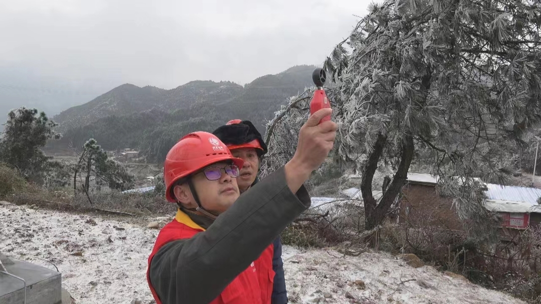 国网桂阳县供电公司 | 奋战一线 确保电网安全