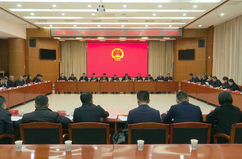 聚焦两会 | 桂阳县第十八届人民代表大会第三次会议举行主席团第二次会议